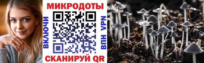 Псилоцибиновые грибы мицелий  Красноуфимск 